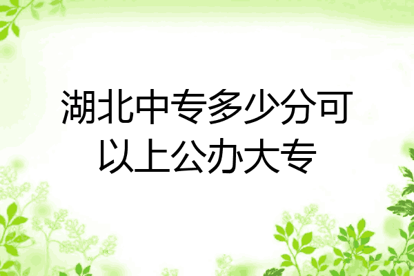 湖北中专多少分可以上公办大专
