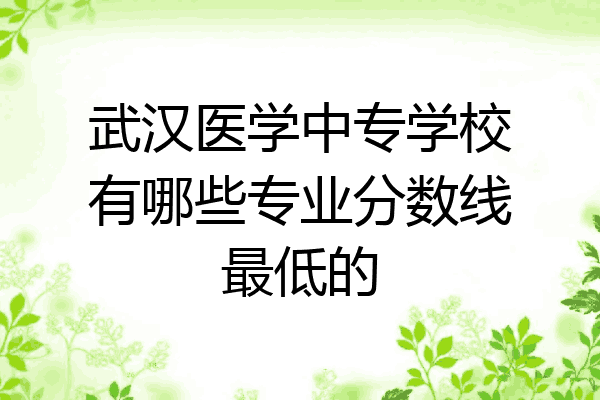 武汉医学中专学校有哪些专业分数线最低的