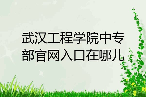 武汉工程学院中专部官网入口在哪儿