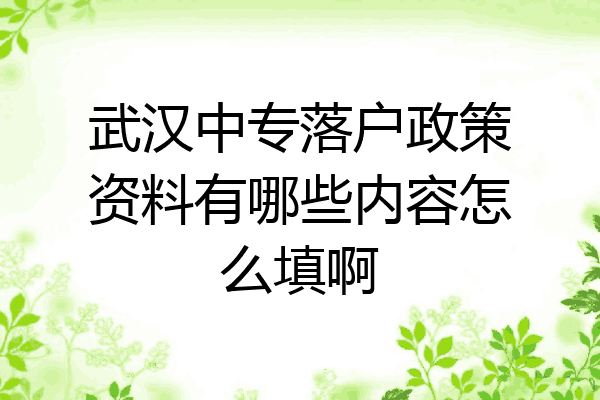 武汉中专落户政策资料有哪些内容怎么填啊