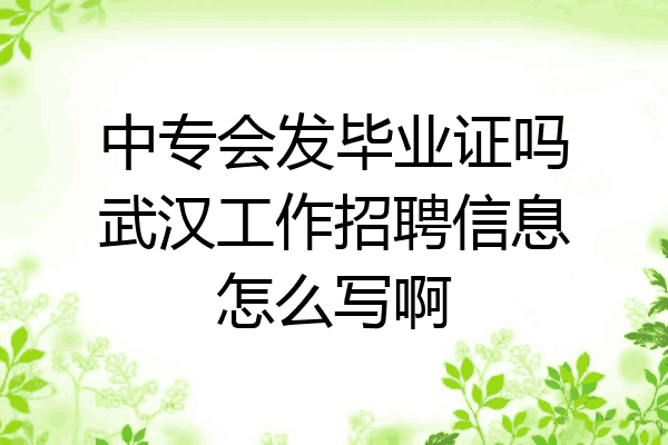 中专会发毕业证吗武汉工作招聘信息怎么写啊