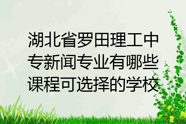 湖北省罗田理工中专新闻专业有哪些课程可选择的学校