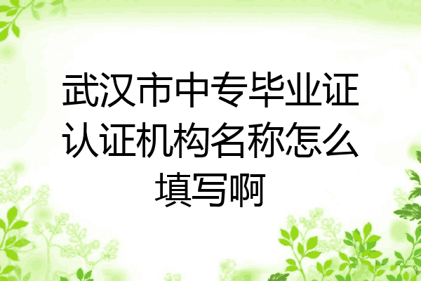 武汉市中专毕业证认证机构名称怎么填写啊