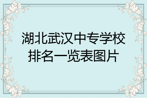 湖北武汉中专学校排名一览表图片