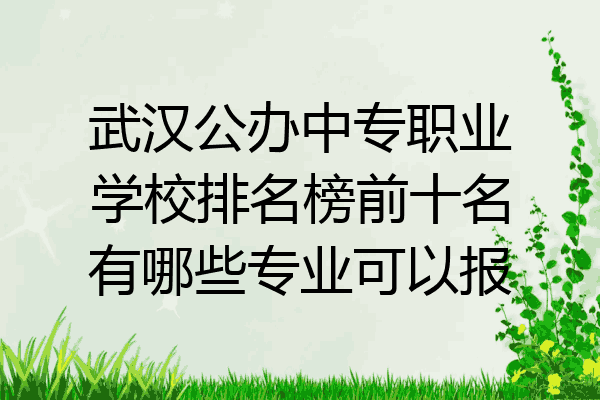 武汉公办中专职业学校排名榜前十名有哪些专业可以报