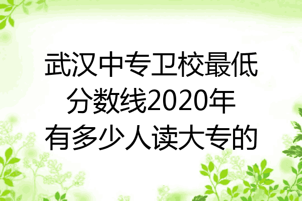 武汉中专卫校最低分数线2020年有多少人读大专的