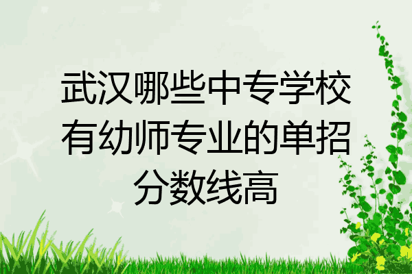 武汉哪些中专学校有幼师专业的单招分数线高