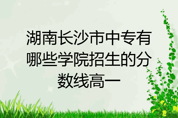 湖南长沙市中专有哪些学院招生的分数线高一