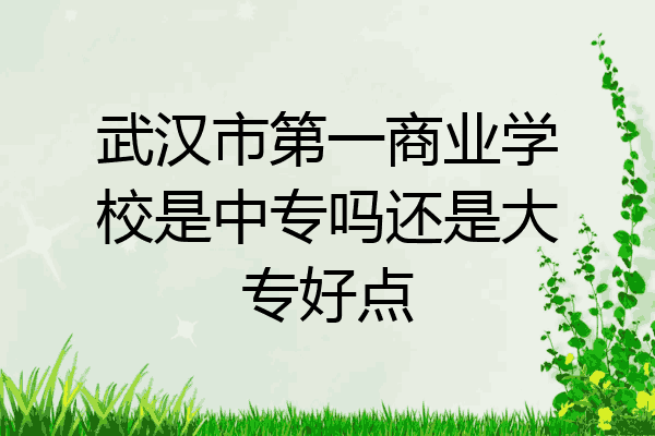 武汉市第一商业学校是中专吗还是大专好点