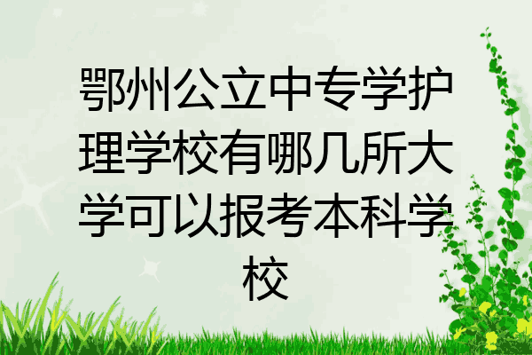鄂州公立中专学护理学校有哪几所大学可以报考本科学校