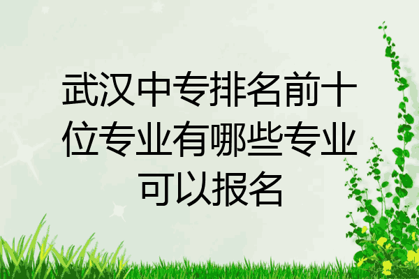 武汉中专排名前十位专业有哪些专业可以报名