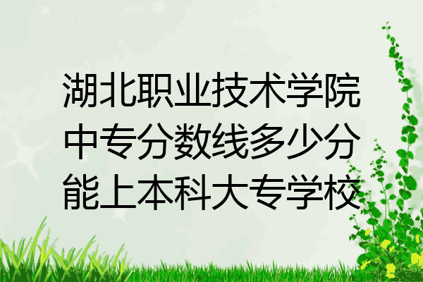 湖北职业技术学院中专分数线多少分能上本科大专学校