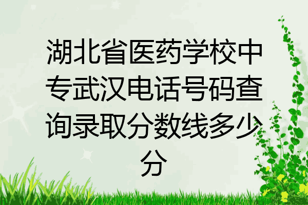 湖北省医药学校中专武汉电话号码查询录取分数线多少分