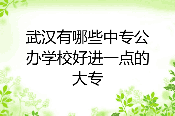 武汉有哪些中专公办学校好进一点的大专