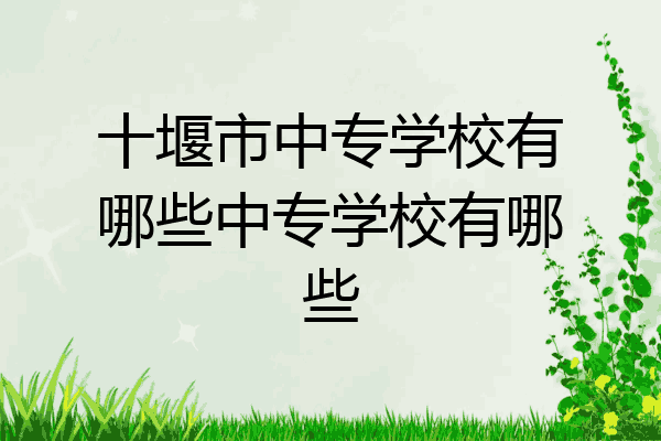 十堰市中专学校有哪些中专学校有哪些
