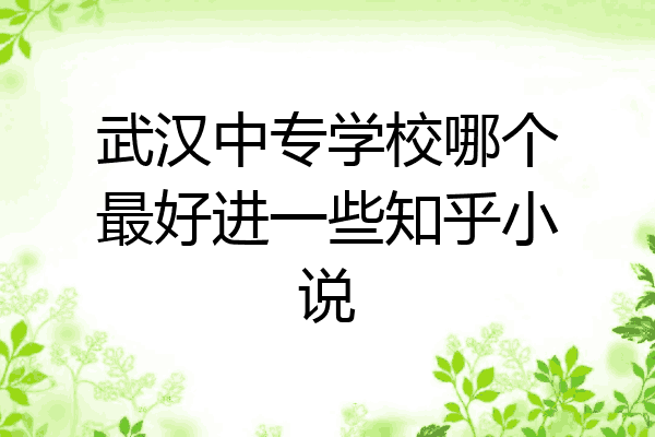 武汉中专学校哪个最好进一些知乎小说