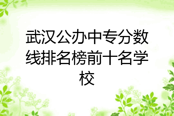 武汉公办中专分数线排名榜前十名学校