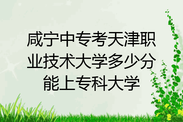 咸宁中专考天津职业技术大学多少分能上专科大学