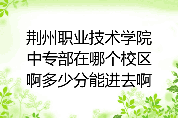 荆州职业技术学院中专部在哪个校区啊多少分能进去啊