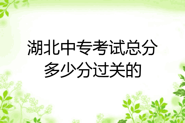 湖北中专考试总分多少分过关的