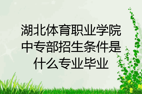 湖北体育职业学院中专部招生条件是什么专业毕业