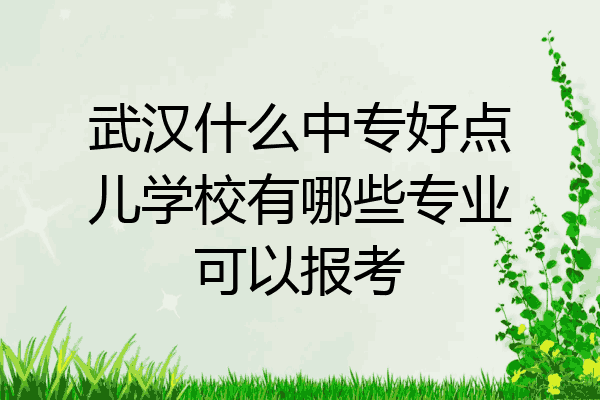 武汉什么中专好点儿学校有哪些专业可以报考