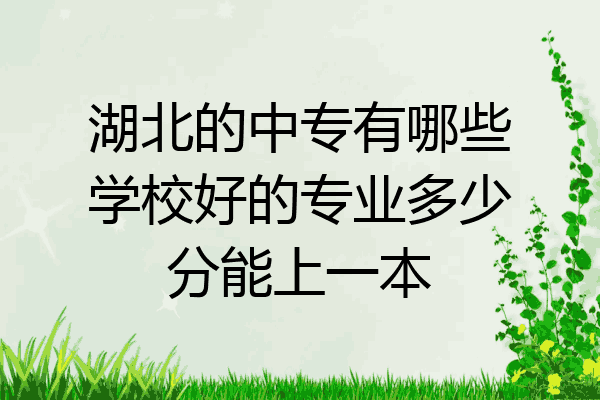 湖北的中专有哪些学校好的专业多少分能上一本