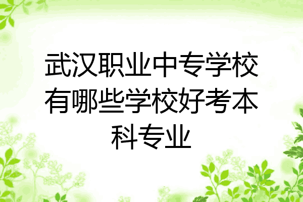 武汉职业中专学校有哪些学校好考本科专业