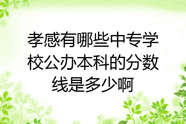 孝感有哪些中专学校公办本科的分数线是多少啊