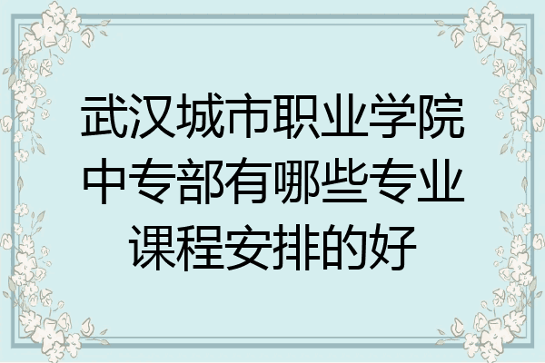 武汉城市职业学院中专部有哪些专业课程安排的好