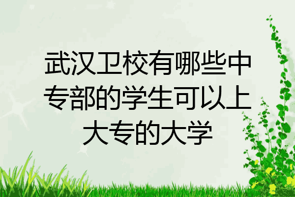 武汉卫校有哪些中专部的学生可以上大专的大学