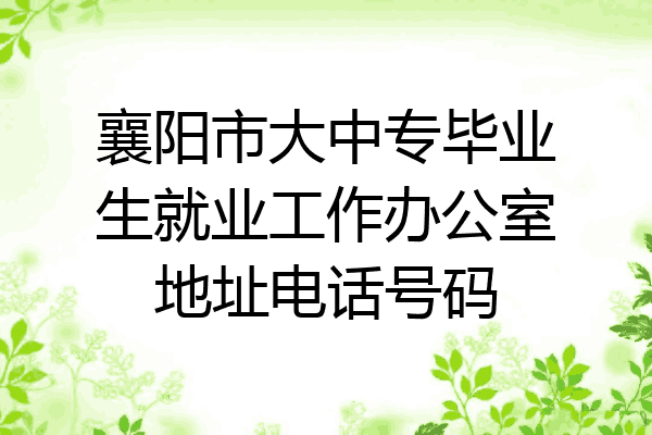 襄阳市大中专毕业生就业工作办公室地址电话号码
