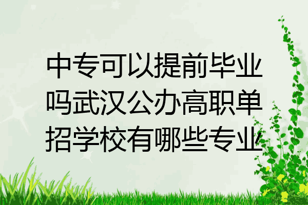 中专可以提前毕业吗武汉公办高职单招学校有哪些专业