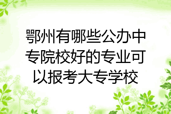 鄂州有哪些公办中专院校好的专业可以报考大专学校