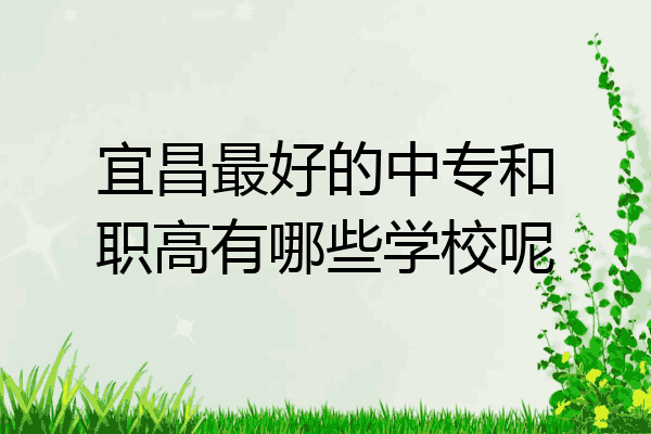 宜昌最好的中专和职高有哪些学校呢