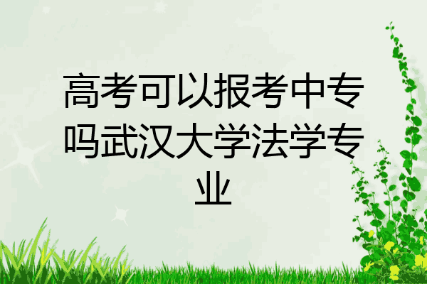 高考可以报考中专吗武汉大学法学专业