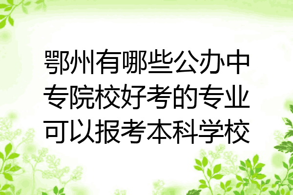 鄂州有哪些公办中专院校好考的专业可以报考本科学校