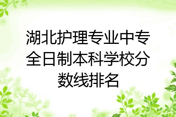 湖北护理专业中专全日制本科学校分数线排名