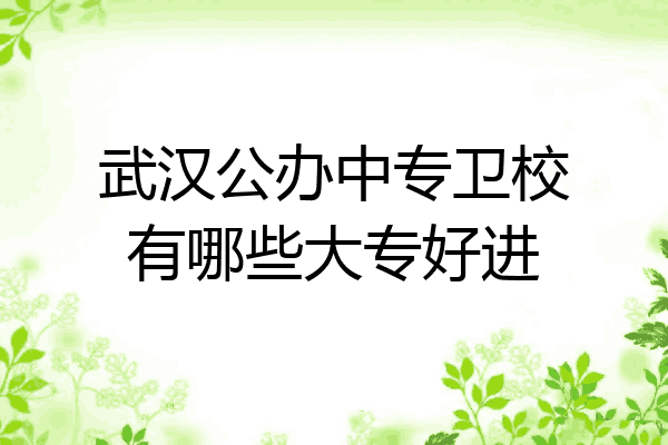 武汉公办中专卫校有哪些大专好进