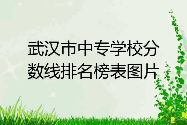 武汉市中专学校分数线排名榜表图片