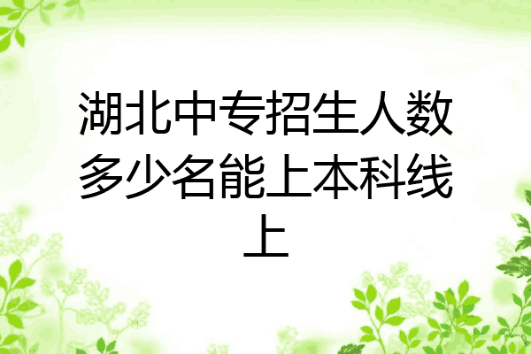 湖北中专招生人数多少名能上本科线上