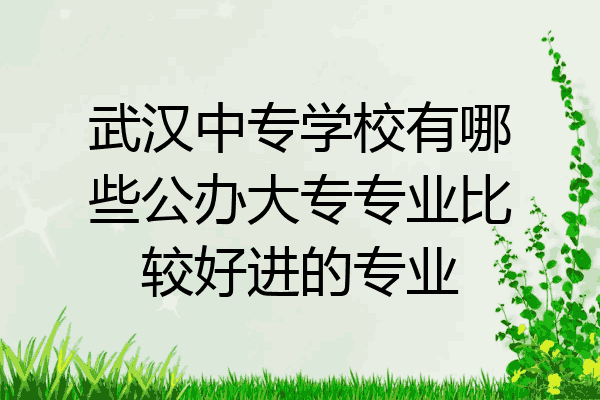 武汉中专学校有哪些公办大专专业比较好进的专业