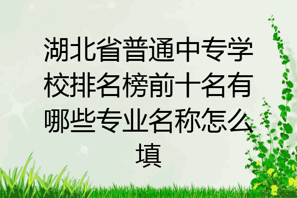 湖北省普通中专学校排名榜前十名有哪些专业名称怎么填
