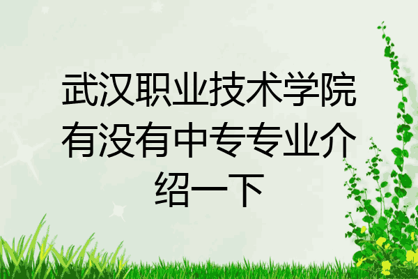 武汉职业技术学院有没有中专专业介绍一下