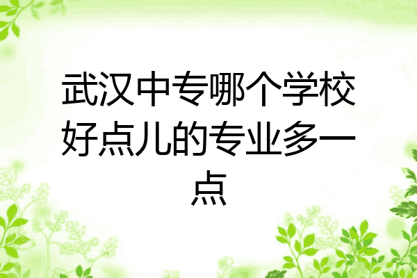 武汉中专哪个学校好点儿的专业多一点