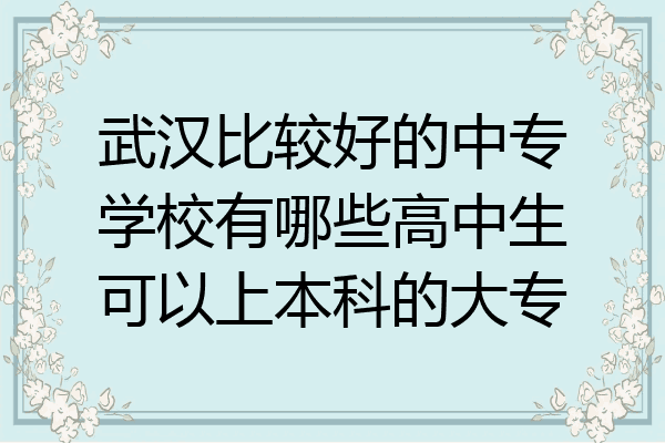 武汉比较好的中专学校有哪些高中生可以上本科的大专