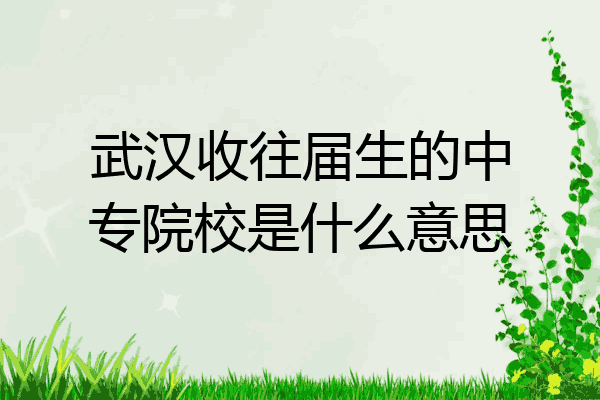 武汉收往届生的中专院校是什么意思