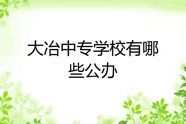 大冶中专学校有哪些公办