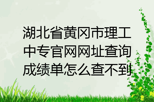 湖北省黄冈市理工中专官网网址查询成绩单怎么查不到