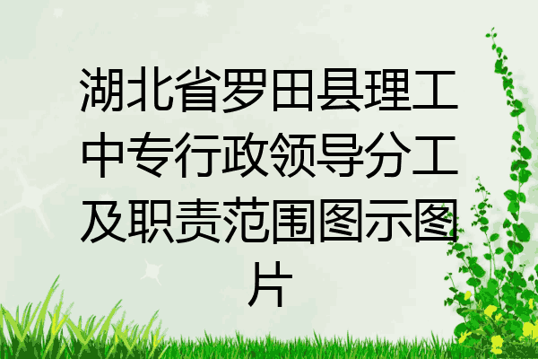 湖北省罗田县理工中专行政领导分工及职责范围图示图片